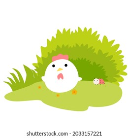 Chicken with beetles under the bushes