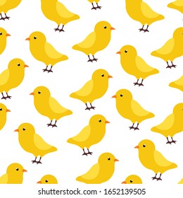 Chicken bird , animal vector seamless pattern on white background.  