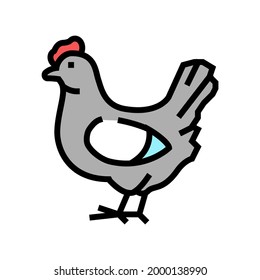 chicken bird color icon vector. isolated symbol illustration