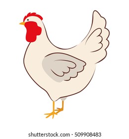 chicken bird icon