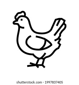 chicken bird line icon vector. chicken bird sign. isolated contour symbol black illustration