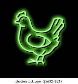 chicken bird neon light sign vector. chicken bird illustration