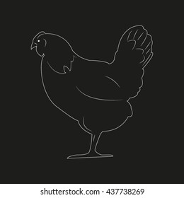 chicken bird, vector illustration