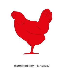 chicken bird, vector illustration