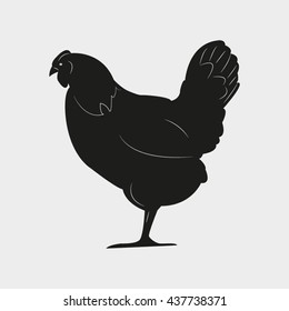 chicken bird, vector illustration