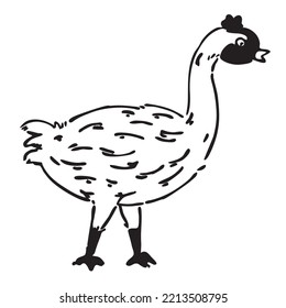 a chicken with a black head and black legs