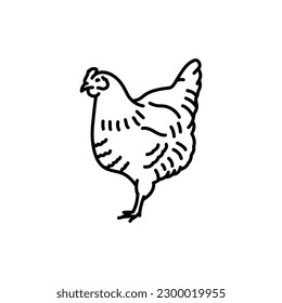 Chicken black line icon. Farm animals. Pictogram for web page, mobile app, promo.