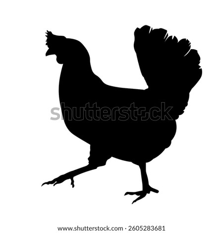 Chicken black silhouette on white background. Running hen, side view. Close up.