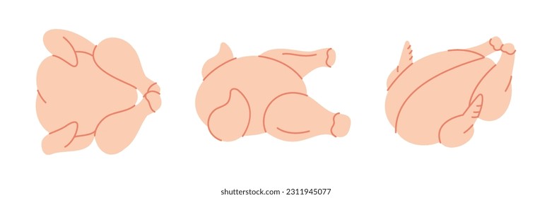 Chicken body meat set. Chicken meat silhouette. Vector illustration.