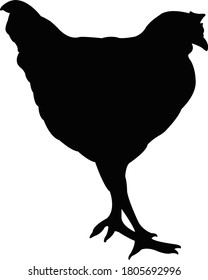 a chicken body silhouette vector