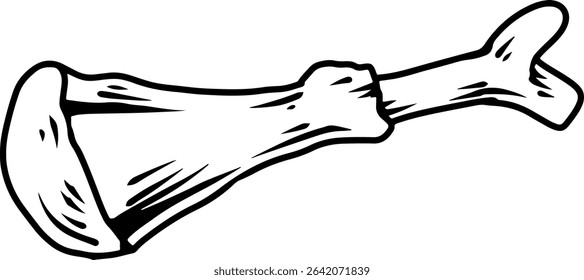 Chicken bone line drawing illustration  
