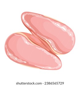 Chicken breasts vector illustration. Cartoon isolated raw pieces of poultry fillet without bones and skin, three skinless breasts, portion of lean white meat for cooking healthy lunch or dinner