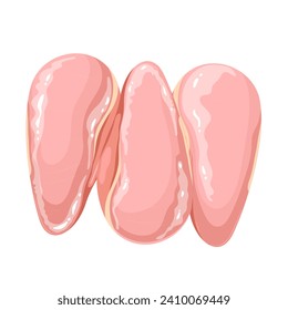 Chicken breasts vector illustration. Cartoon isolated raw three pieces of poultry fillet without bones and skin, three skinless breasts, portion of lean white meat for cooking healthy lunch or dinner