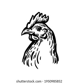 chicken breeding. animal husbandry. livestock. vector sketch on a white background