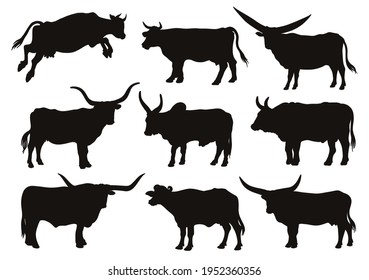 chicken breeding. animal husbandry. livestock. vector sketch on a white background