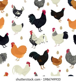 Chicken breeds Seamless pattern Flat vector illustration Farming today set