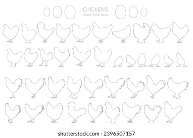 Chicken breeds silhouettes, simple linear style clipart. Poultry and farm animals.  Vector illustration