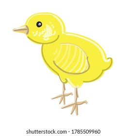 Chicken bright yellow in cartoon style. Drawing isolated on a white background. Stock vector illustration.