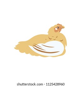 Chicken broiler. Poultry. Label for chicken products. Farming. Livestock raising. Vector illustration.
