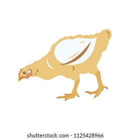 Chicken broiler. Poultry. Label for chicken products. Farming. Livestock raising. Vector illustration.