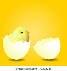 Chicken in a Broken Egg