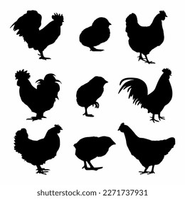 Chicken bundle silhouette isolated on white background	