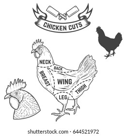 Chicken butcher diagram. Design element for poster, menu. Vector illustration