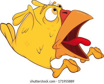 Chicken cartoon
