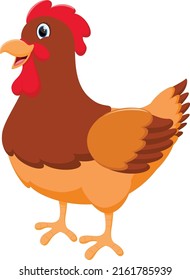 Chicken Cartoon funny hen, isolated on white background