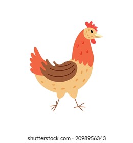 Chicken character hand drawn naive art