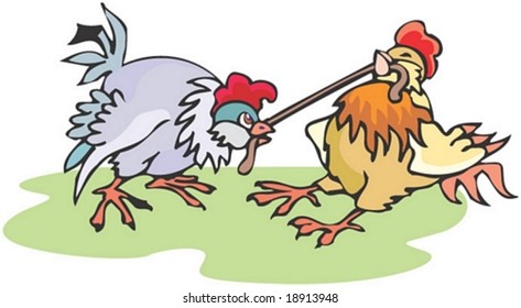 Chicken Character Isolated on white background