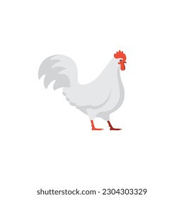 the chicken character is isolated on white background