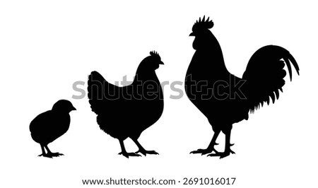 Chicken chick hen rooster silhouettes vector
