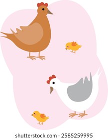 chicken and chick on a white background. vector illustration