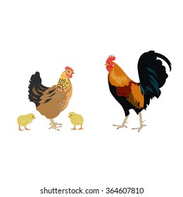 Chicken, chickens and a rooster in a flat style