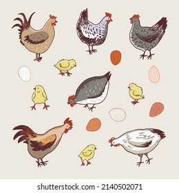 Chicken, chicks, eggs vector illustrations set