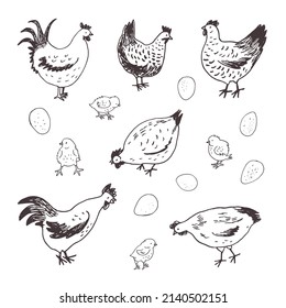 Chicken, chicks, eggs vector illustrations line set