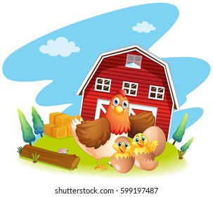 Chicken and chicks on the farm illustration