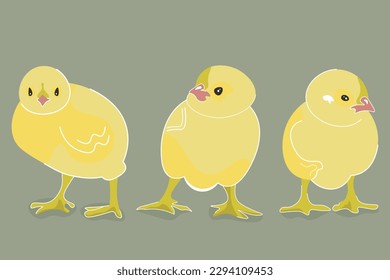 Chicken, chicks, poultry, vector image, sketch, logo, banner, sticker.