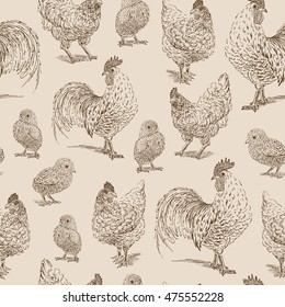 Chicken, cock, chick sketch. Set hand drawn vector illustration.