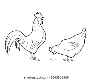 Chicken and cock.  Farm poultry. Set of hen, rooster outline isolated on white background illustration. 