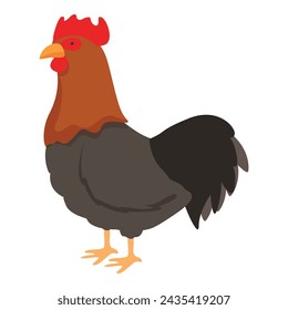 Chicken cock icon cartoon vector. Bird feeder. Domestic factory