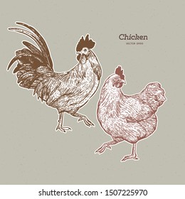 chicken collection, hand draw sketch vector.