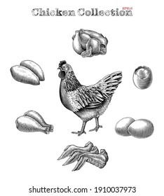 Chicken collection hand draw vintage engraving style clip art isolated on white background