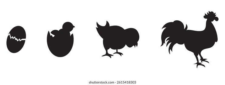 Chicken collection - vector silhouette
