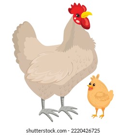 
chicken colorful vector graphics illustrations