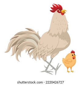 
chicken colorful vector graphics illustrations