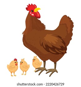 
chicken colorful vector graphics illustrations