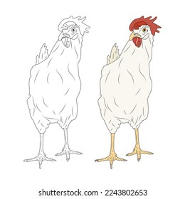 Chicken coloring page. Vector stock illustration eps 10.