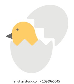 
Chicken coming out of white egg
